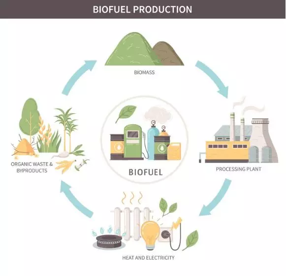 perbedaan bioetanol, biodiesel, dan biogas © 2024 brilio.net