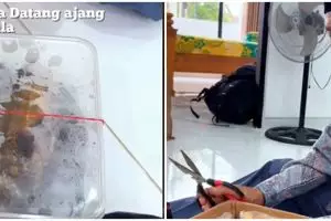 Viral kisah wanita bagikan kebaikan mertua, rajin bawakan lauk, finansial masa tua tak tergantung anak