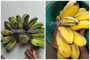 Tanpa karbit, ini trik mematangkan pisang mentah agar hasilnya manis dan tak hitam dalam 2 hari