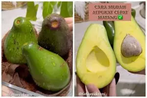 Cara cepat mematangkan alpukat dengan satu bahan sederhana, tak perlu dibalut tisu atau diperam beras