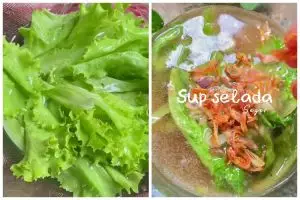 Tak cuma dijadikan lalapan, begini cara masak sup selada lezat dan menyegarkan