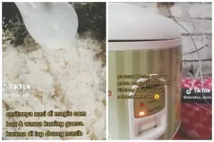 Bukan pakai sitrun atau bahan khusus, ini trik bersihkan magic com agar nasi tak menguning dan bau