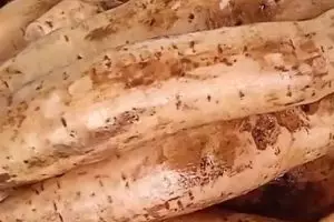 7 Ubi rendah kalori yang cocok untuk diet, serba enak