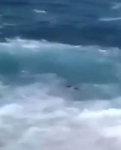 Detik-detik pria hilang terseret ombak pas lagi foto bikin merinding Berbagai sumber