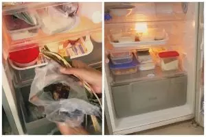 Jangan cuma dilap, trik bersihkan kulkas ini bikin bebas bau dan noda mudah luntur pakai 2 bahan dapur