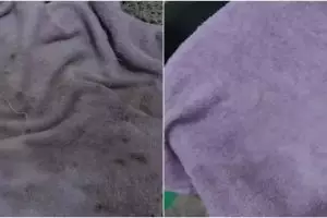 Cara efektif bersihkan noda hitam dan jamur di handuk dapur andalkan 2 bahan sederhana