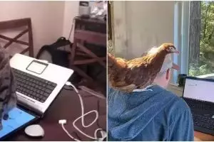 [KUIS] Seberapa sabar kamu kalau lagi fokus kerja tiba-tiba dapat gangguan? Pilih satu gambar ini