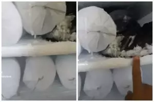 Jangan asal congkel, ini cara udah mengambil es batu bungkus plastik yang lengket di freezer kulkas