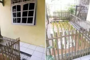 [KUIS] Lagi makeover rumah? Kami bisa rekomendasikan ide nyeleneh mempercantik hunian yang pas untukmu