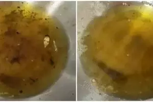 Cara mudah menjernihkan minyak goreng bekas dengan satu bahan dapur