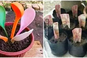 [KUIS] Manakah gambar tanaman yang paling nyeleneh menurut kamu? Hasilnya ungkap sisi unik di dirimu