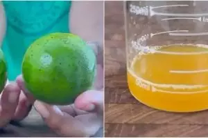 Cara mudah memilih jeruk peras segar dan manis, kenali ciri-cirinya