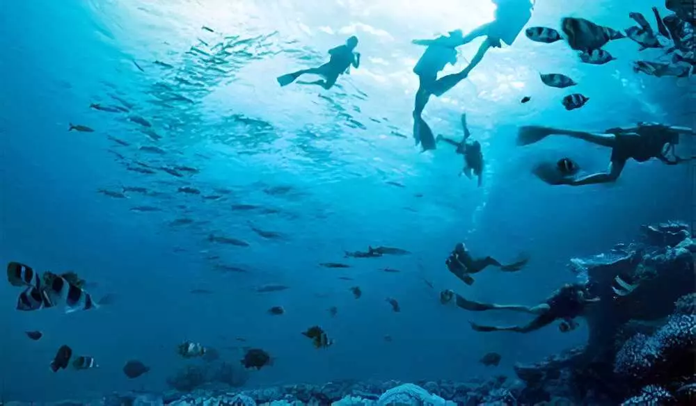 dua wajah tersembunyi berbagai sumber