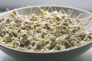 7 Makanan rendah kalori serba tauge, enak dan mengenyangkan