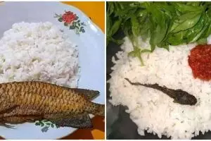[KUIS] Bosan makan ayam terus? Cari tahu lauk ikan apa yang enak dimakan bareng nasi di sini