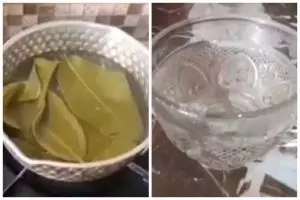 Bermanfaat bagi kesehatan, ini cara tepat merebus daun salam agar nutrisinya tetap terjaga