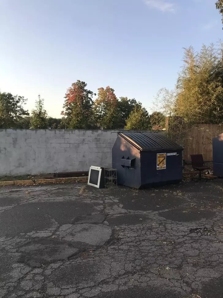 rusa bersembunyi di halaman belakang berbagai sumber