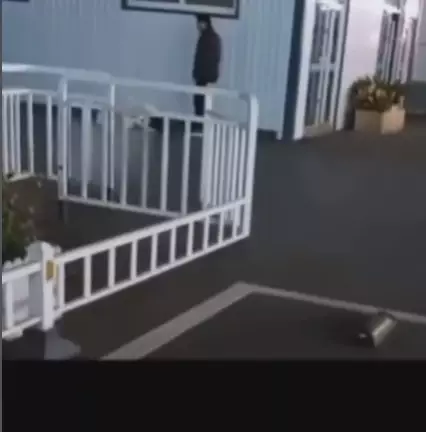 Momen haru wanita bersujud di depan ayah TikTok/@kosebel