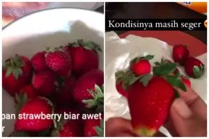 Tak perlu masuk freezer, ini trik menyimpan buah stroberi agar tetap segar dan tahan lama