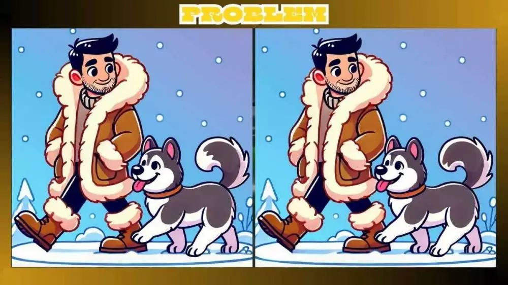 anjing husky di salju berbagai sumber anjing husky di salju berbagai sumber