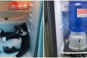 [KUIS] Dari desain kulkas yang kamu pilih ini tentukan isian tak terduga di dalamnya