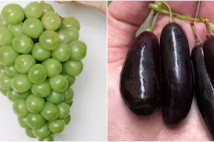 [KUIS] Pilihan anggur ini bisa tebak gimana kamu di mata orang lain