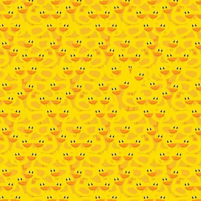 menemukan ayam tersembunyi dalam 5 detik berbagai sumber