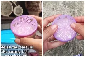 Tak perlu rutin diganti, ini cara bikin pengharum ruangan alami dan tahan lama pakai 1 bahan dapur