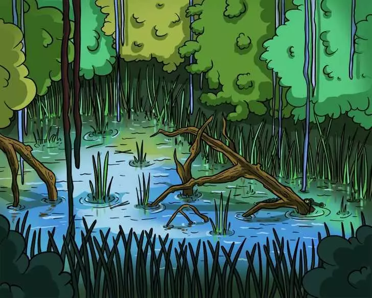 tersembunyi di rawa berbagai sumber