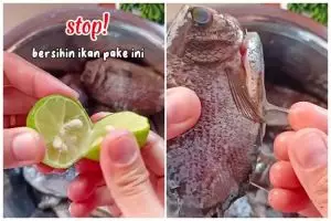 Cara membersihkan ikan agar bebas lendir dan tak amis dengan satu bahan dapur, tak perlu jeruk nipis