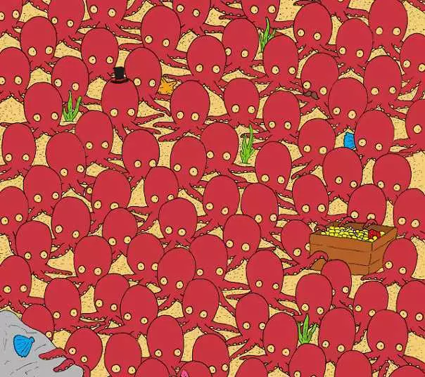 antara gambar gurita berbagai sumber antara gambar gurita berbagai sumber