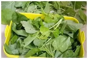 7 Makanan kaya serat rendah kalori dari bayam, enak dan bikin nagih