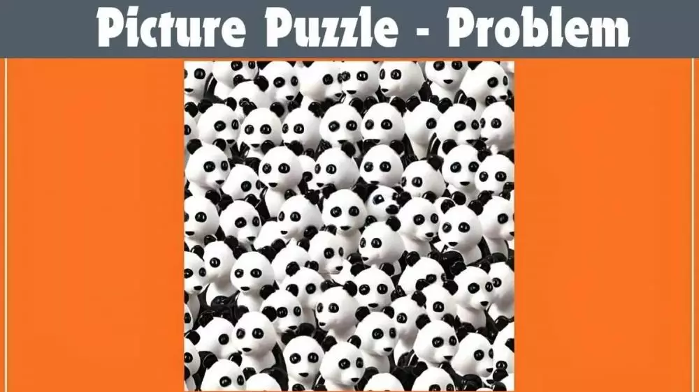 menemukan anjing berbagai sumber