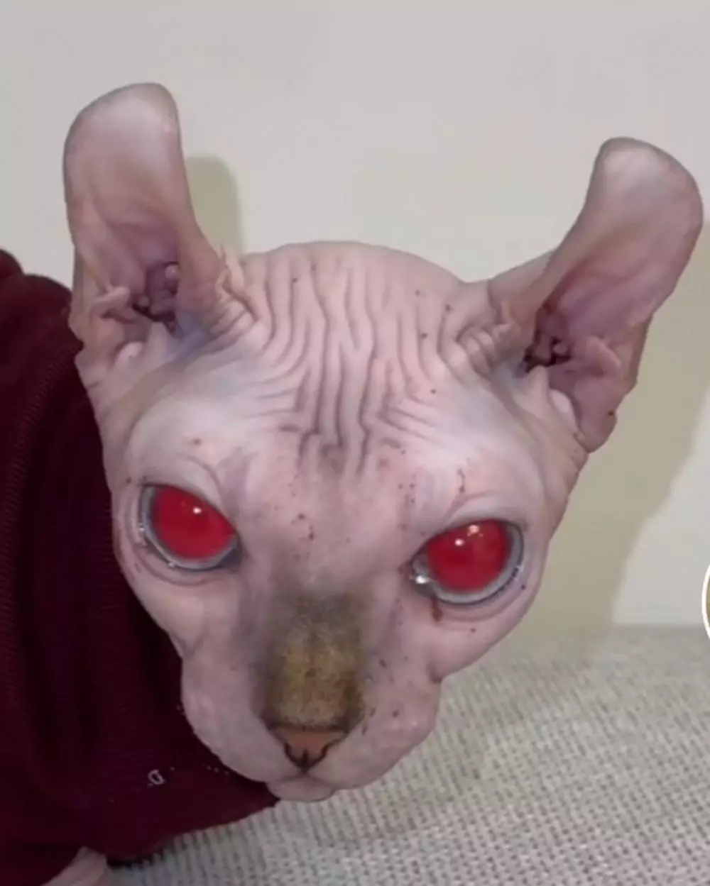 Fuji pamer kado ulang tahun © 2024 Instagram Fuji pamer kado ulang tahun © 2024 Instagram