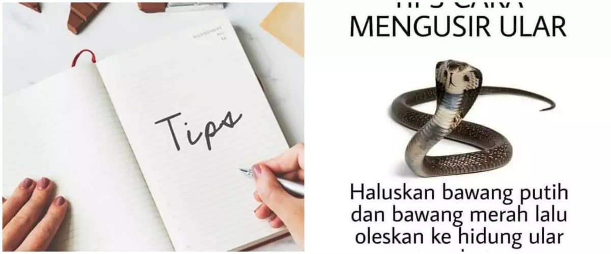 [KUIS] Berdasarkan masalah yang kamu hadapi, temukan tips di luar nalar untuk cerahkan hari-harimu