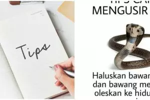 [KUIS] Berdasarkan masalah yang kamu hadapi, temukan tips di luar nalar untuk cerahkan hari-harimu