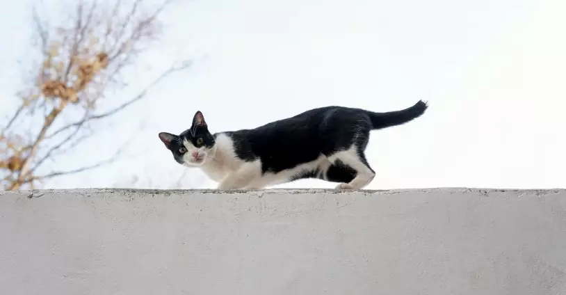 Kejadian random yang mitosnya bawa hoki © 2024 brilio.net Kejadian random yang mitosnya bawa hoki © 2024 brilio.net