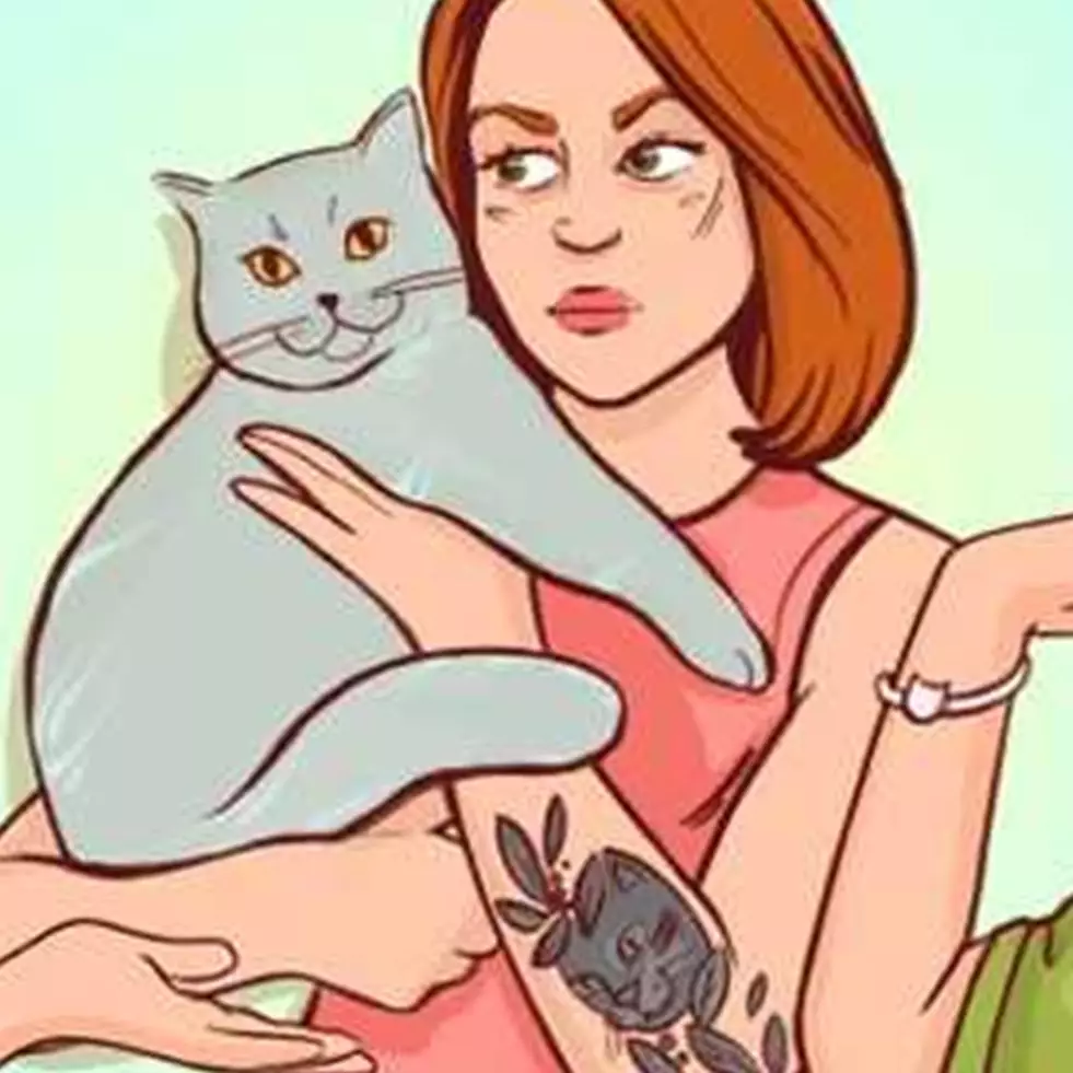 Tes ilusi optik, temukan pemilik asli kucing ini dalam 7 detik