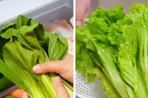 7 Sayur tinggi serat rendah kalori, padat nutrisi dan bikin nagih