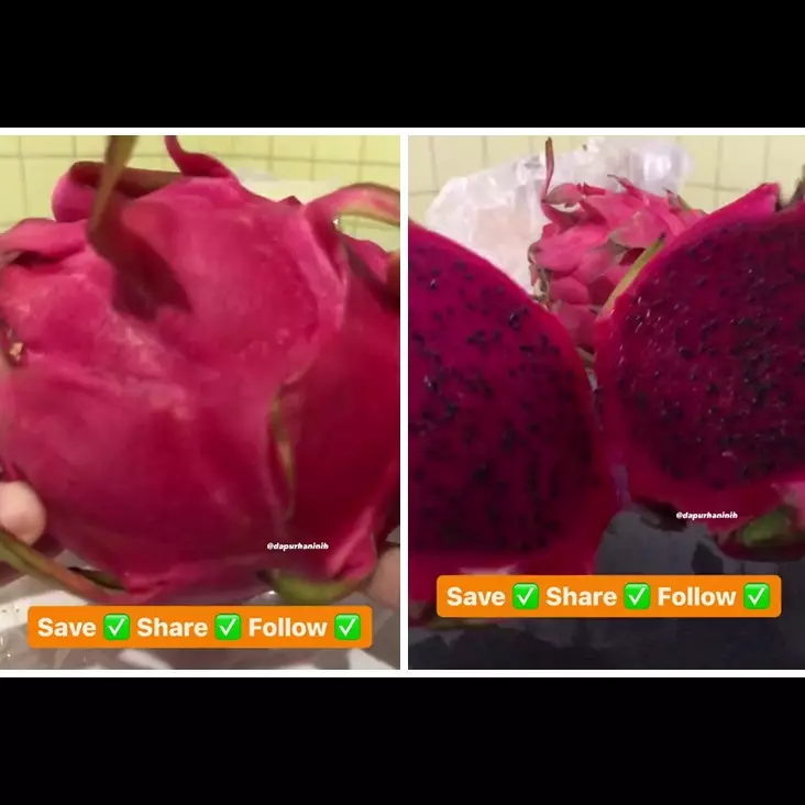 Tak cuma punya warna terang, ini trik memilih buah naga yang manis, segar, dan matang sempurna