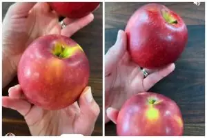 Hilangkan lapisan lilin di kulit apel tanpa baking soda atau cuka, ini caranya pakai 1 bahan dapur