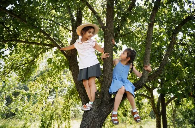 9 Mitos anak suka main di pohon beringin © 2024 brilio.net
