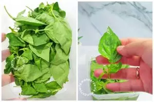 Tanpa dibungkus plastik, cara simpan daun kemangi ini bikin awet segar dan tak hitam hingga seminggu