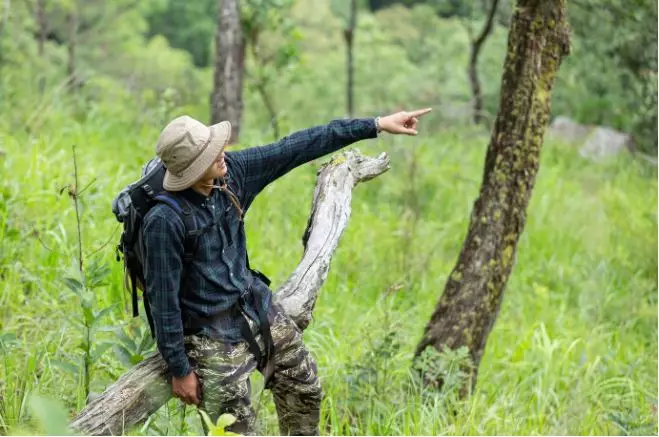 Mitos dilarang bersiul di hutan © 2024 brilio.net Mitos dilarang bersiul di hutan © 2024 brilio.net