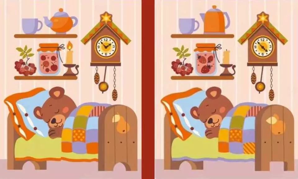 gambar beruang yang sedang tidur ini dalam 10 detik berbagai sumber