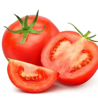 5 Contoh teks laporan hasil observasi tentang tumbuhan tomat, pahami definisi, fungsi, dan strukturnya