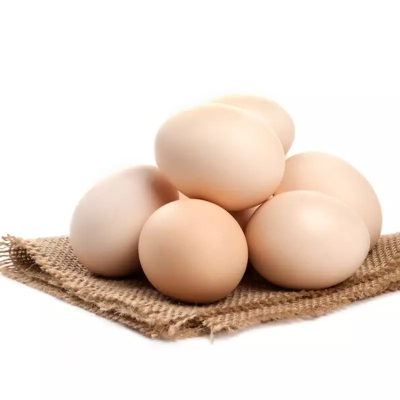 5 Contoh teks laporan percobaan tentang telur, lengkap dengan pengertian dan strukturnya