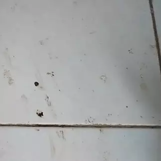 Tanpa air panas, ini trik bersihkan lantai penuh kerak membandel pakai tambahan 1 bahan dapur