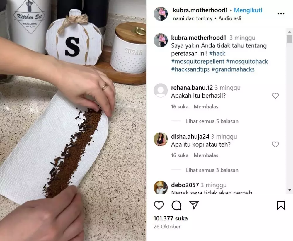 Cara ampuh bikin obat nyamuk alami © Instagram