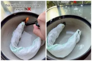 Cara ampuh bikin obat nyamuk alami bermodal 2 bahan dapur, bikin rumah makin wangi